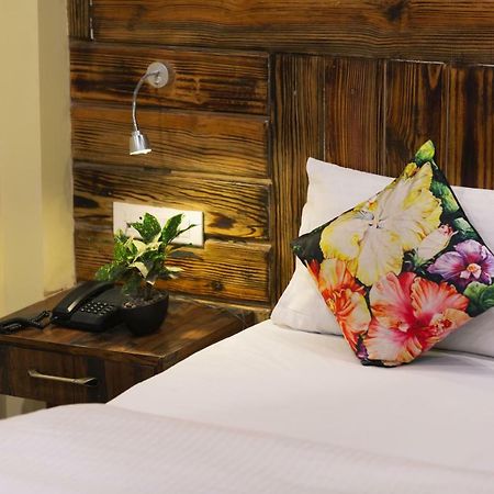 Nirvana Lodge And Lounge Mussoorie Eksteriør billede